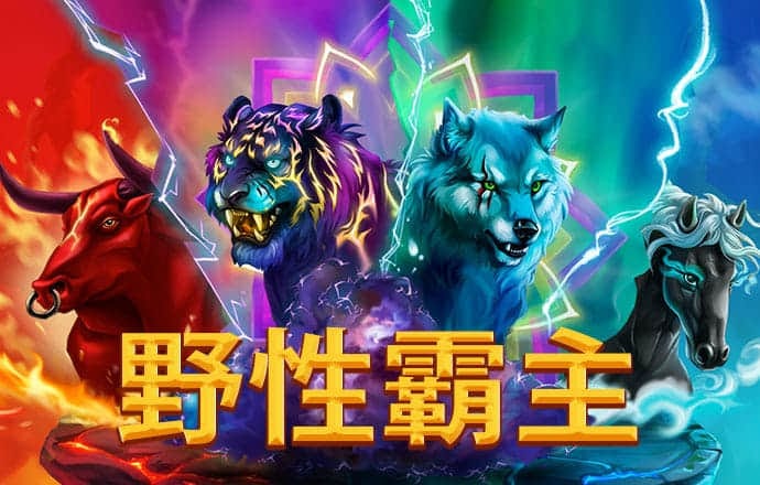 火凤凰三期必中一期