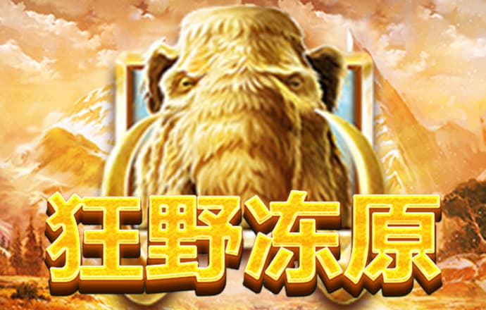XK体育官网入口